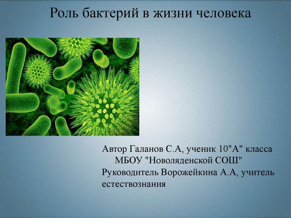 Роль бактерий в природе презентация 5 класс