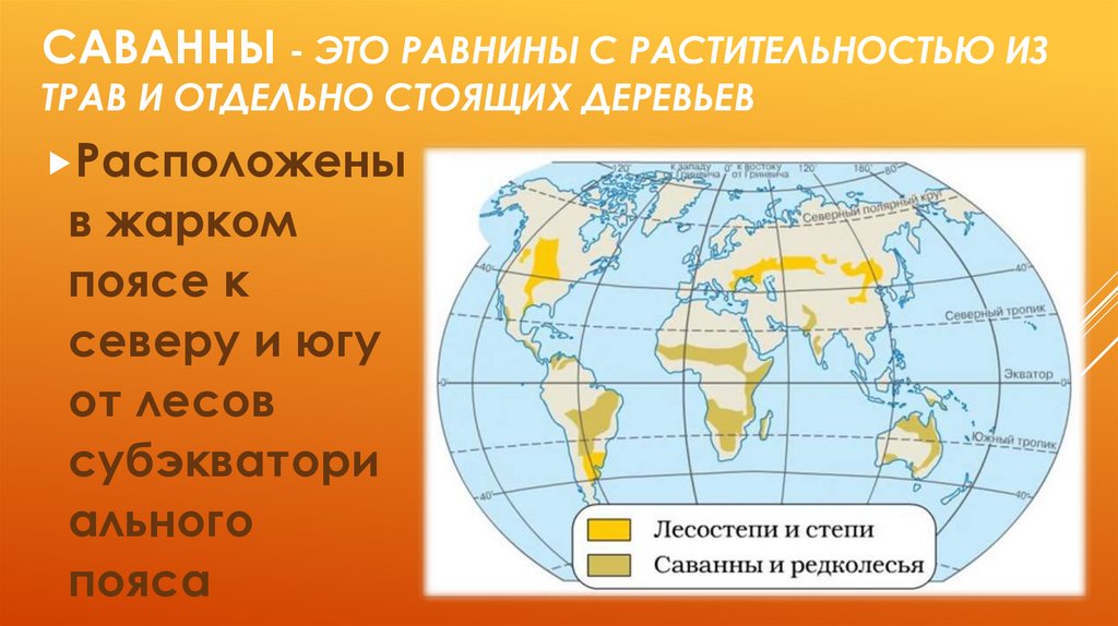 Степи и саванны 6 класс география презентация