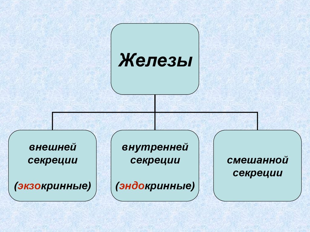 Железы внешней и внутренней секреции презентация. Железы внешней секреции. Железы внутренней и внешней секреции. Железы внешней внутренней и смешанной секреции. Эндокринные и экзокринные железы.