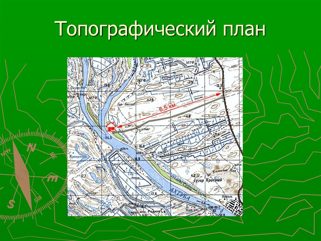 Виды изображения местности 5 класс. Топографический план. Потографичческиий Пан. План местности топографический план. Топография для проекта.