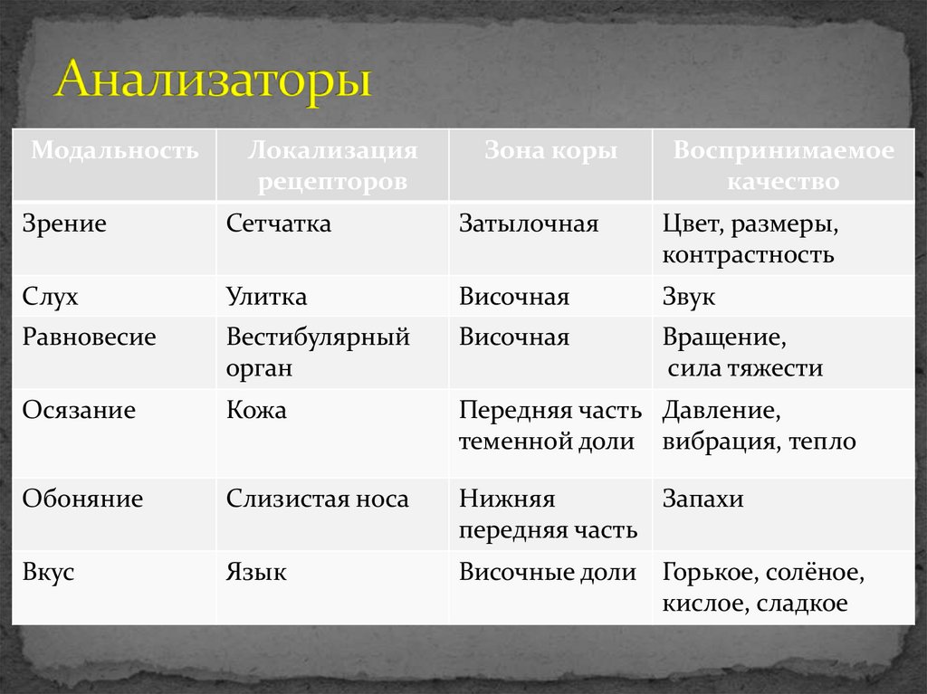 Анализаторы