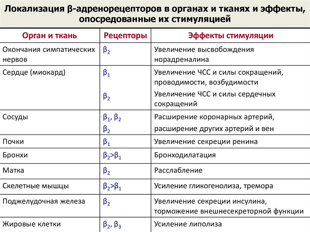 Альфа адренорецепторы