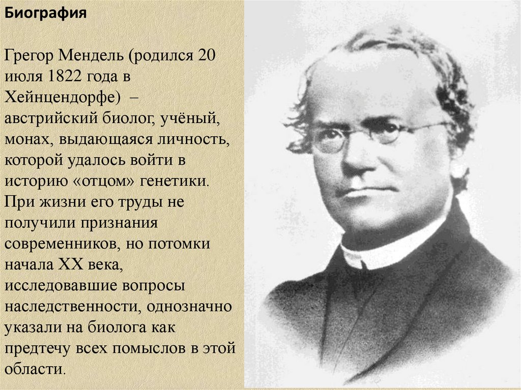 Создатель генетики. Грегор Мендель основоположник генетики. Грегор Иоганн Мендель(1822 – 1884). Мендель ученый биолог. Грегор Мендель (1822 - 1884г.г.).