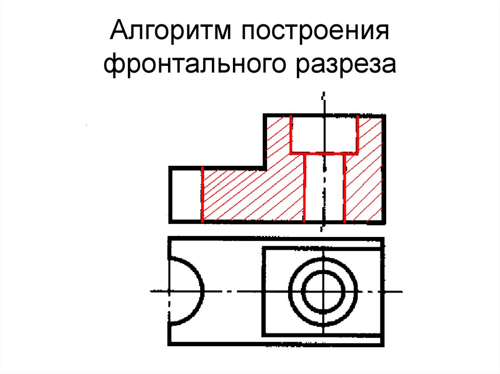 Фронтальный разрез правильно выполнен на рисунке