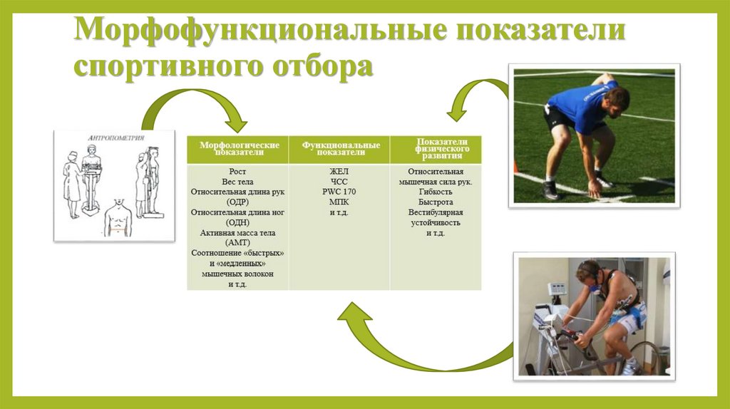 Основными показателями физического развития человека являются