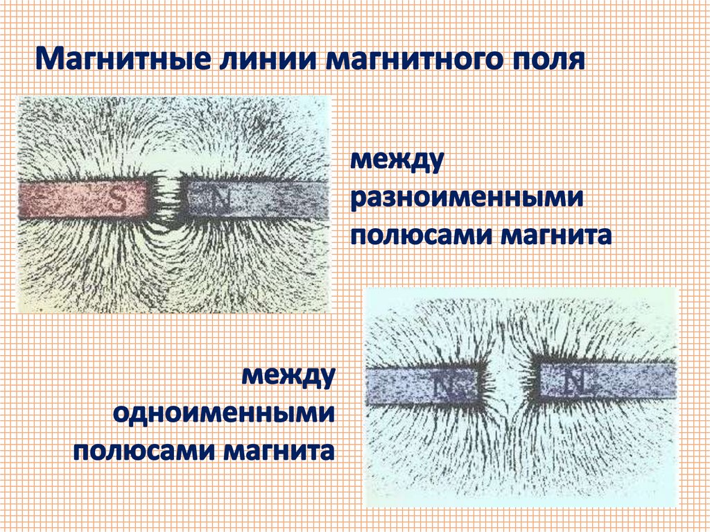 Презентация 8 класс постоянные магниты магнитное поле земли 8 класс