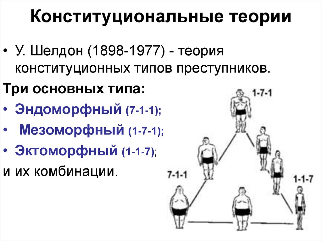 Конституциональные схемы шелдона