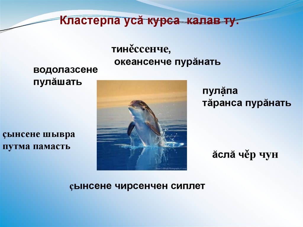 Кластерпа усă курса калав ту.