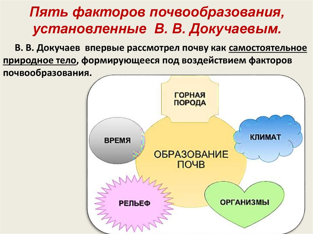 Какие факторы нужны. 5 Факторов почвообразования. Факторы влияющие на почвообразование. Главные факторы почвообразования. Формирование почв факторы почвообразования.