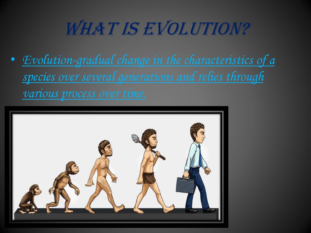 Factors of evolution - презентация онлайн