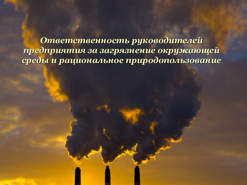 Ответственность руководителей предприятия за загрязнение окружающей среды и рациональное природопользование