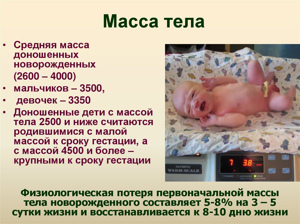 Сколько недель считается доношенная. Доношенный новорожденный. Масса тела доношенного ребенка. Средняя масса тела доношенного новорожденного. Вес доношенного новорожденного.