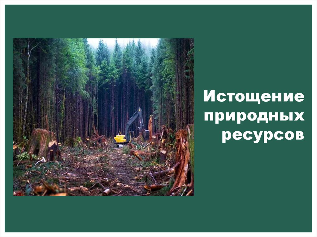 Экологические проблемы - презентация онлайн