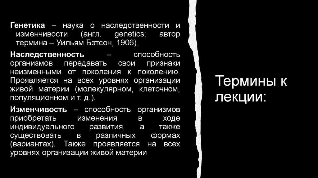 Термины к лекции: