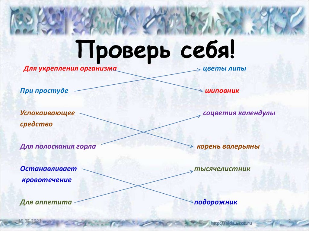 Проверь себя!