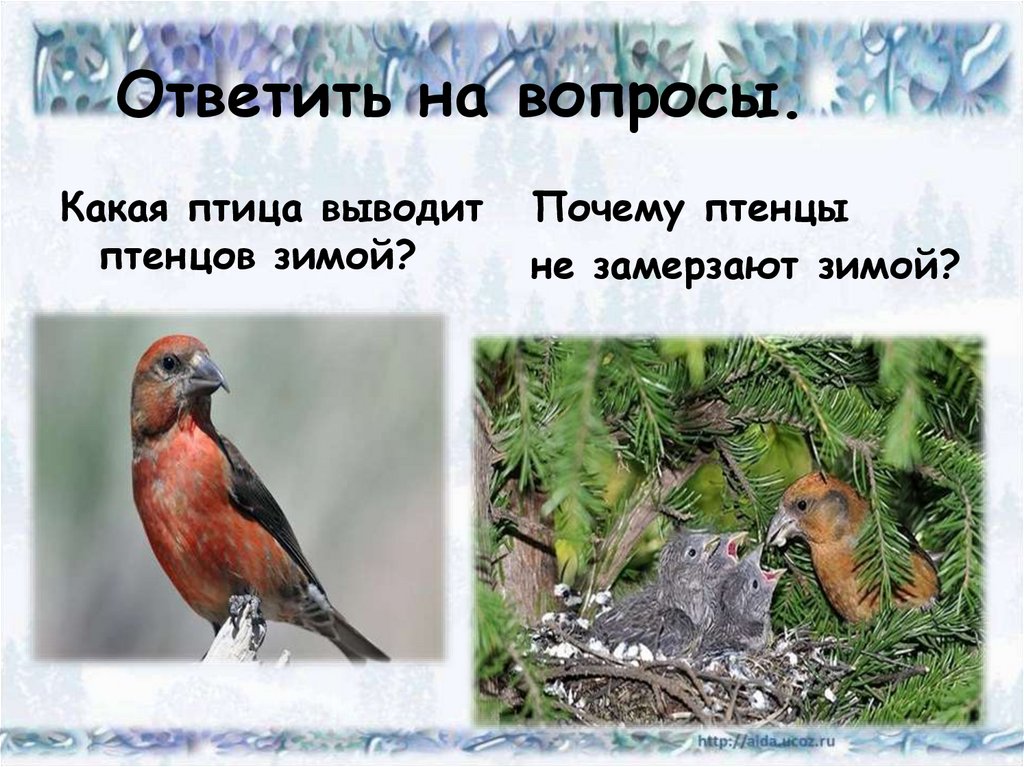 Ответить на вопросы.