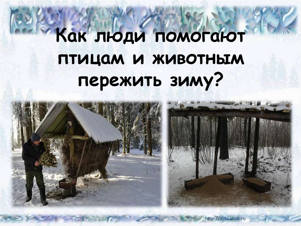 Пережившие зимнюю