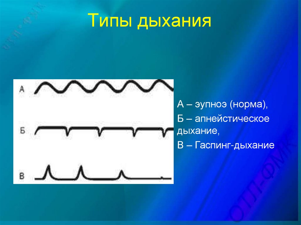 Типы дыхания рисунок