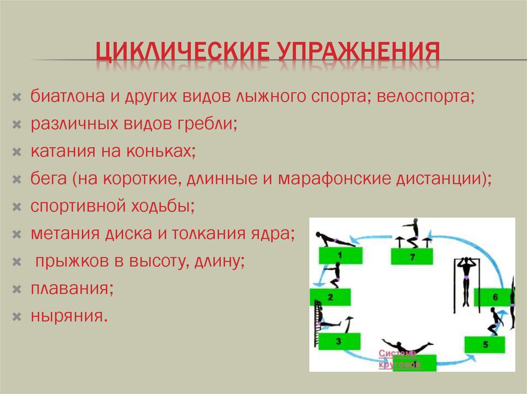 Циклические упражнения