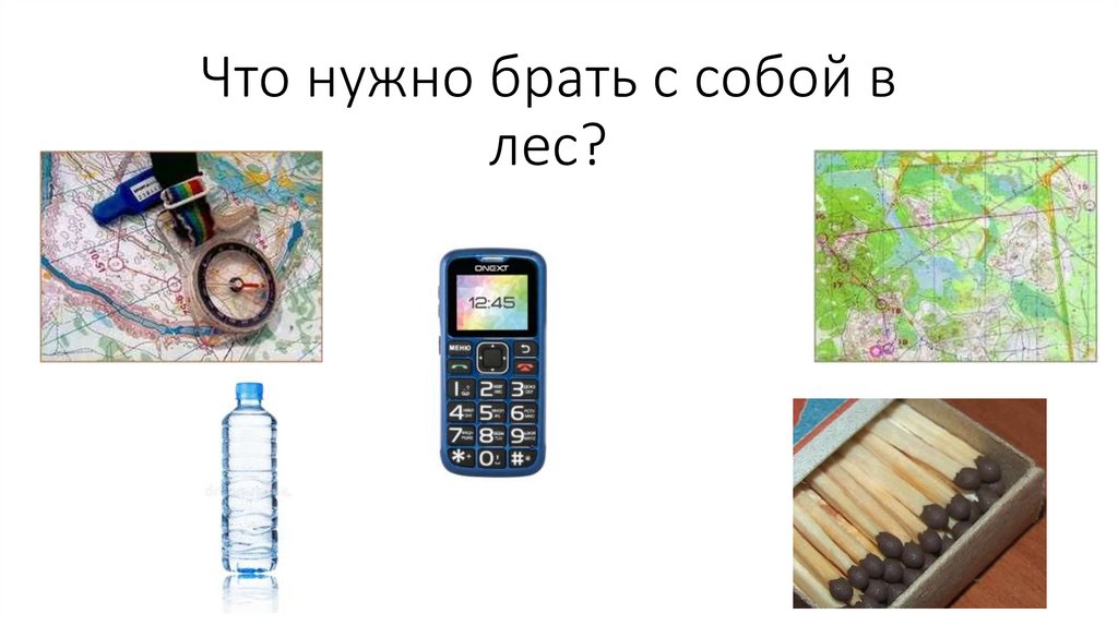 Что нужно брать с собой в лес?