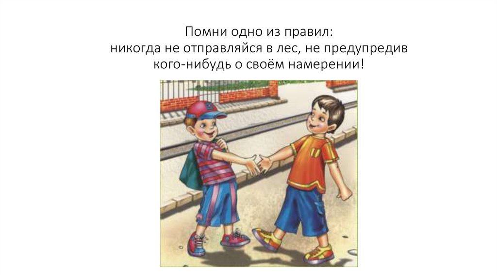Помни одно из правил: никогда не отправляйся в лес, не предупредив кого-нибудь о своём намерении!