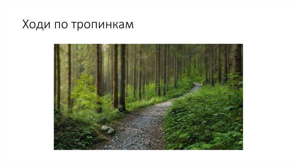 Ходи по тропинкам