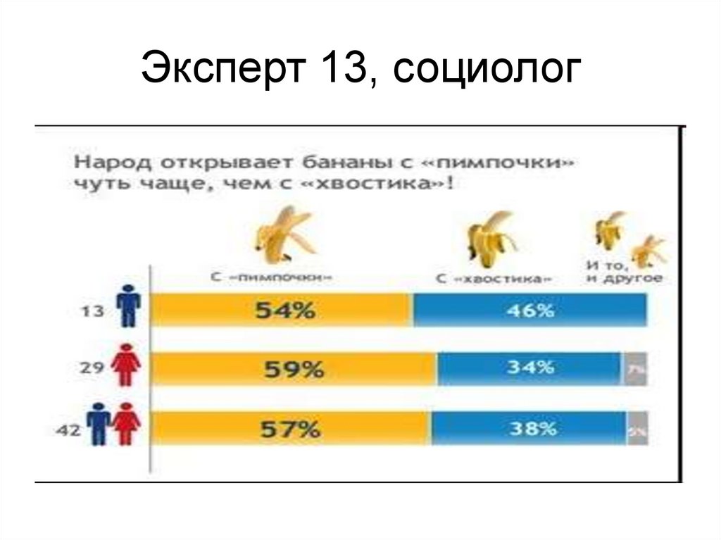 Эксперт 13, социолог