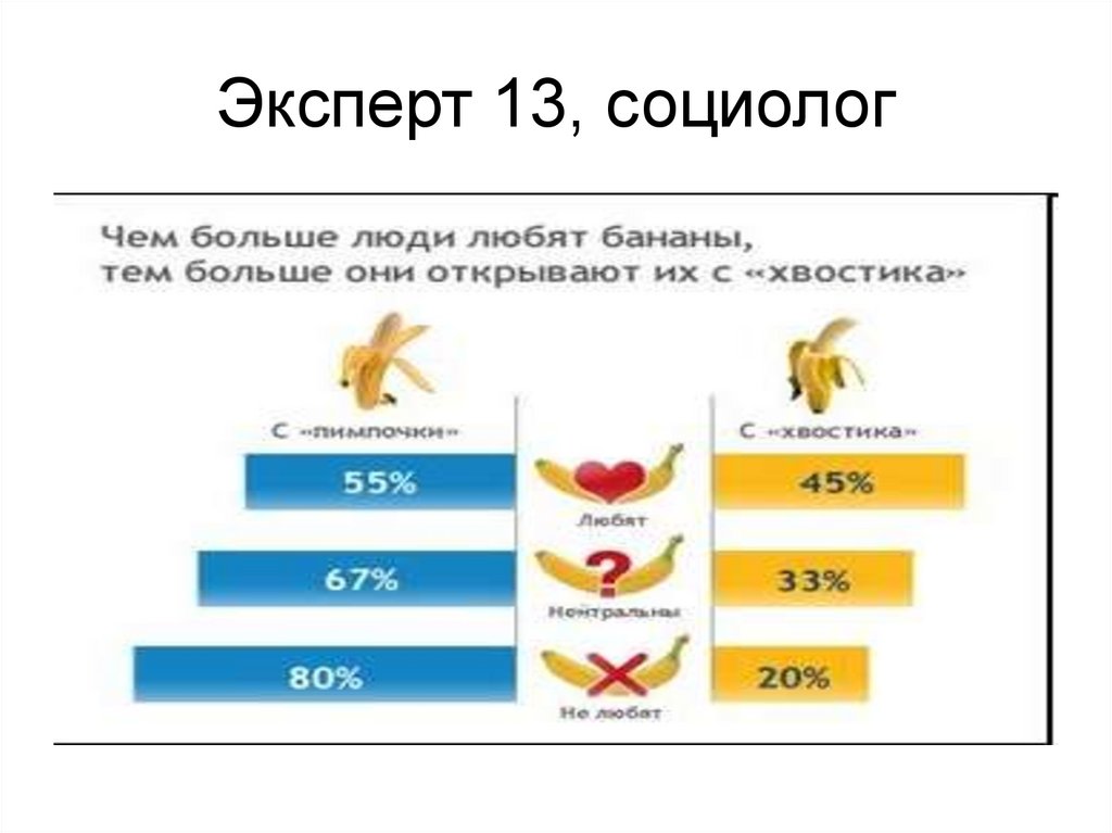 Эксперт 13, социолог