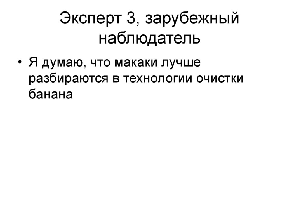 Эксперт 3, зарубежный наблюдатель