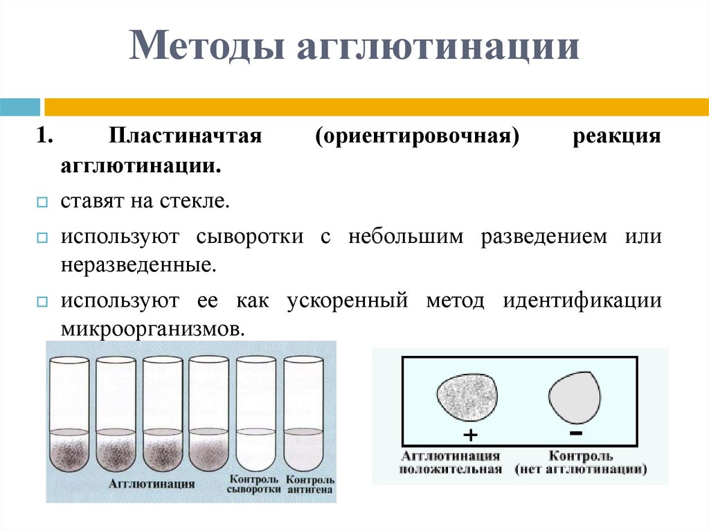 Реакция агглютинации микробиология презентация