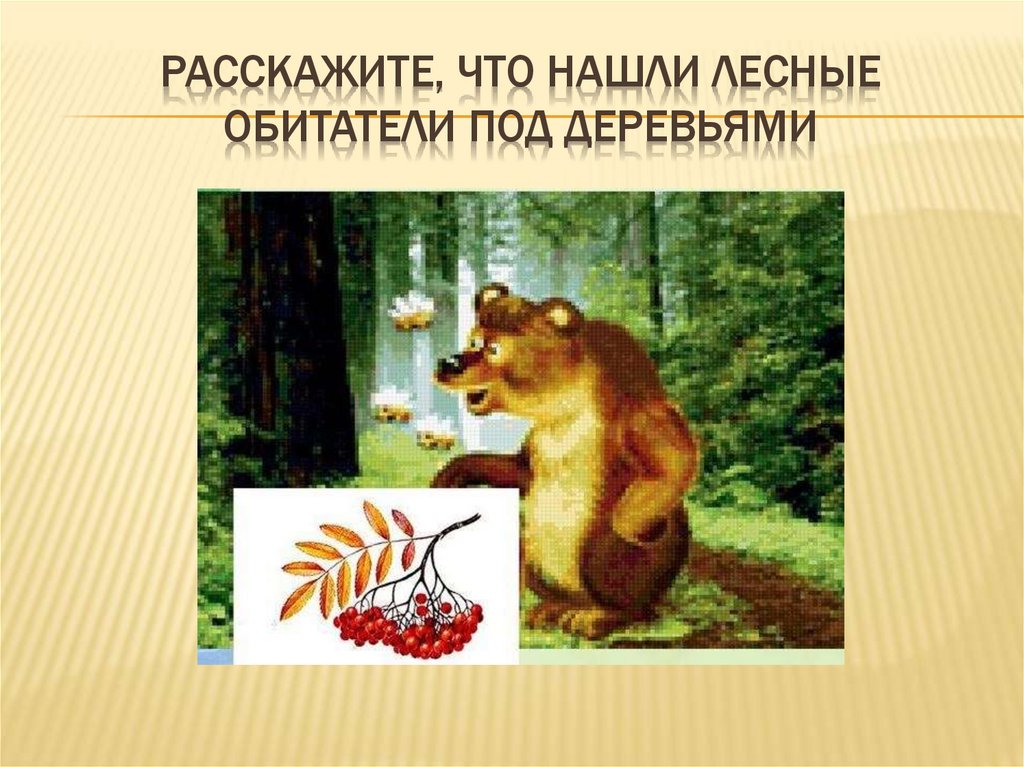 Расскажите, что нашли лесные обитатели под деревьями