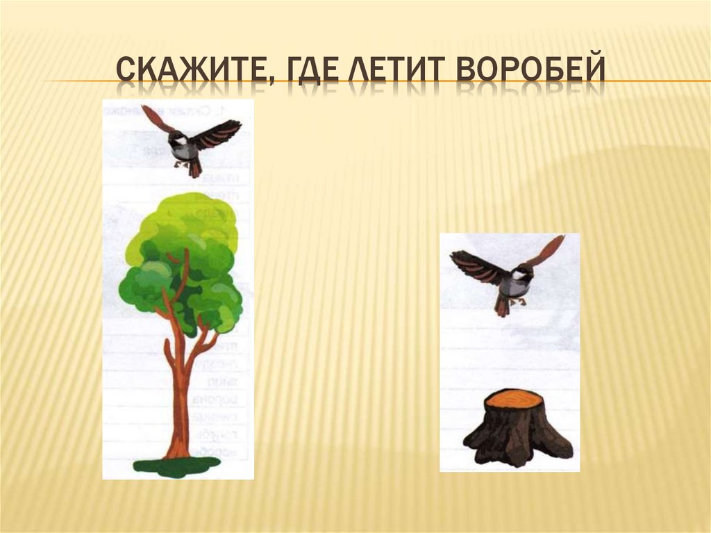 Скажите, где летит воробей