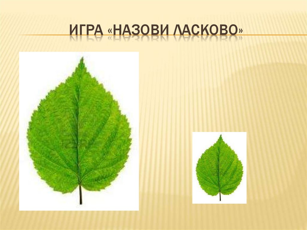 Игра «Назови ласково»