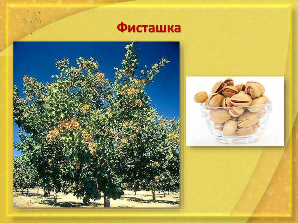 Южная Европа. Страны Пиренейского полуострова - презентация онлайн