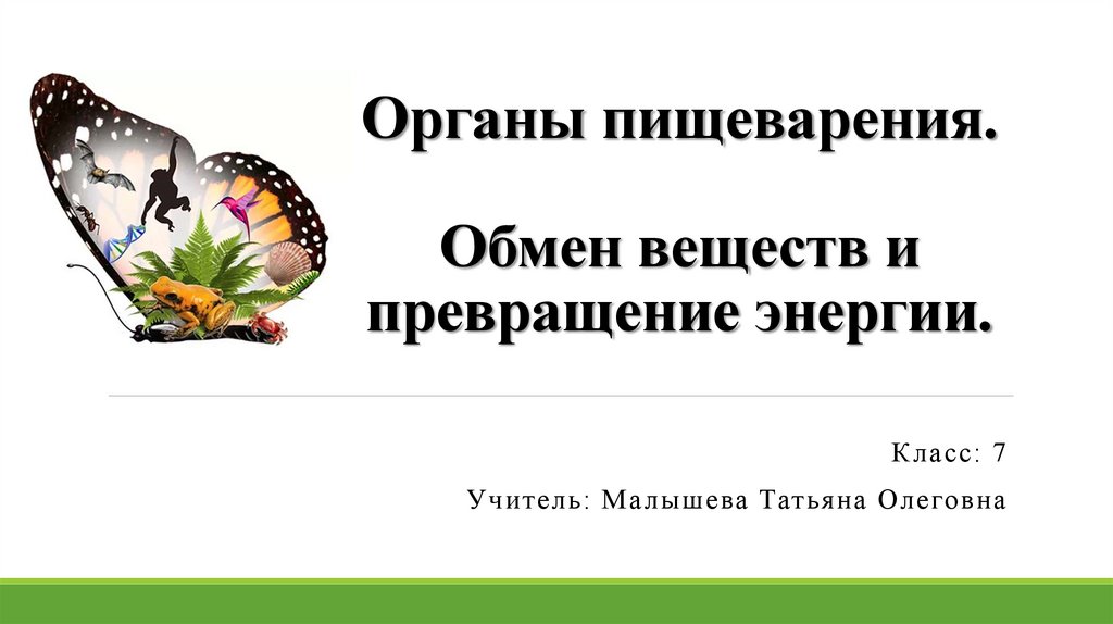 Органы пищеварения обмен веществ и превращение энергии 7 класс презентация