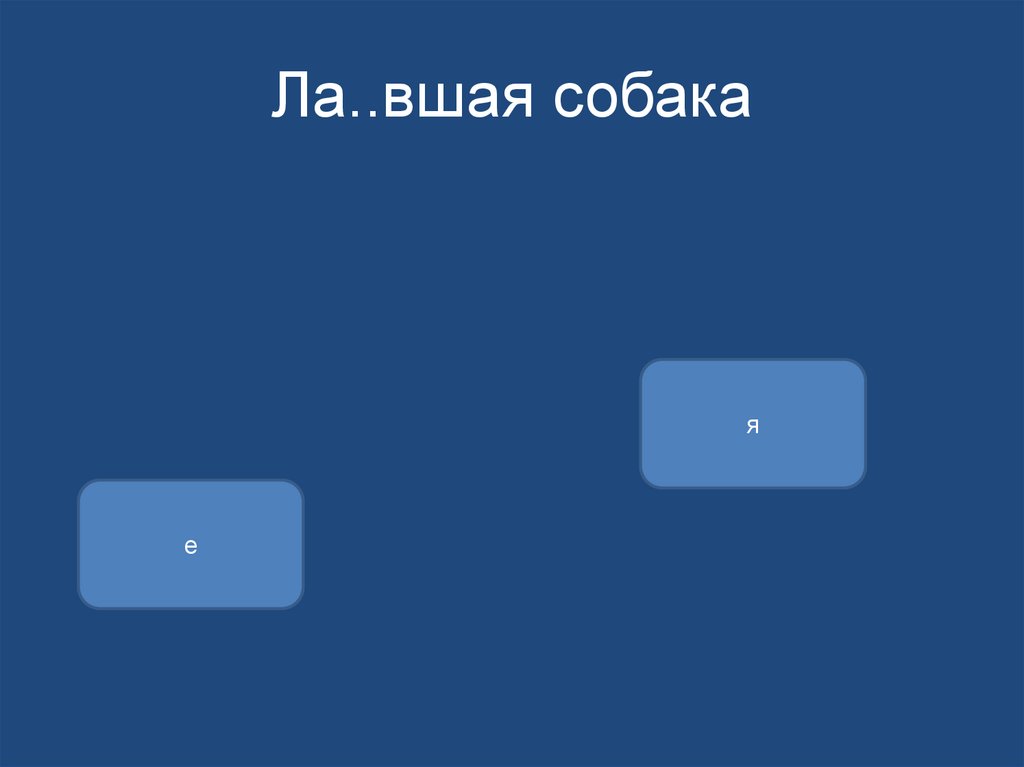 Ла..вшая собака