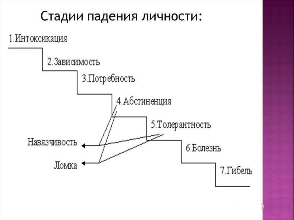 Лестница жизни биология 9 класс презентация