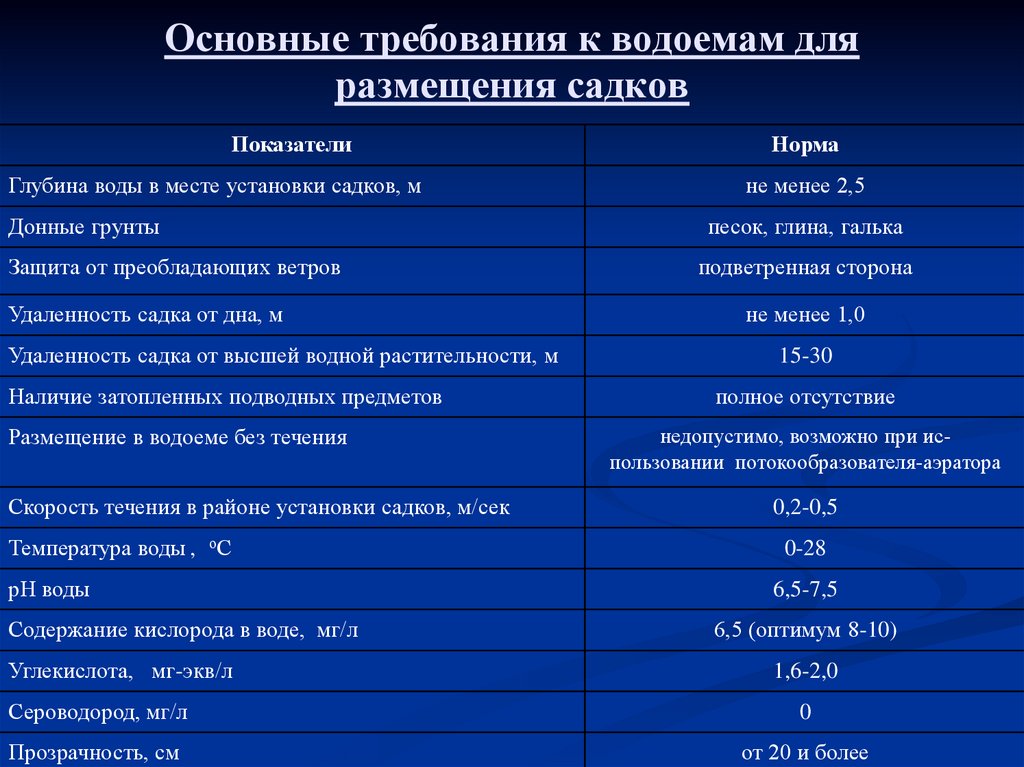 Основные требования ооо