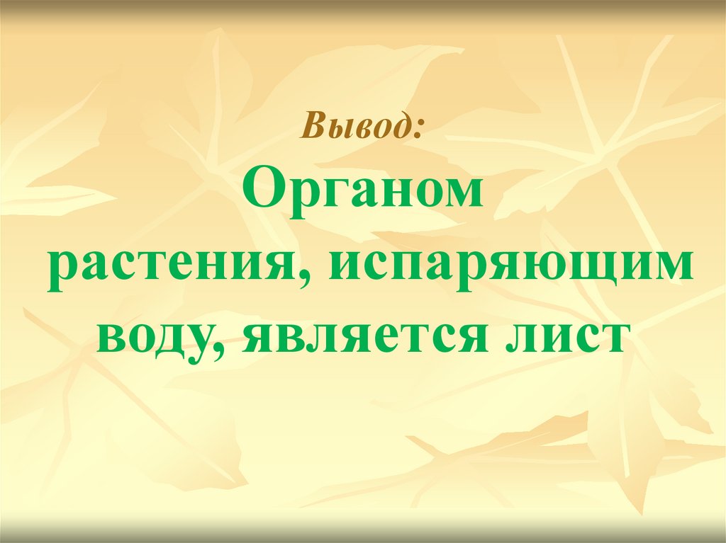 Испарение воды растениями листопад 6 класс презентация