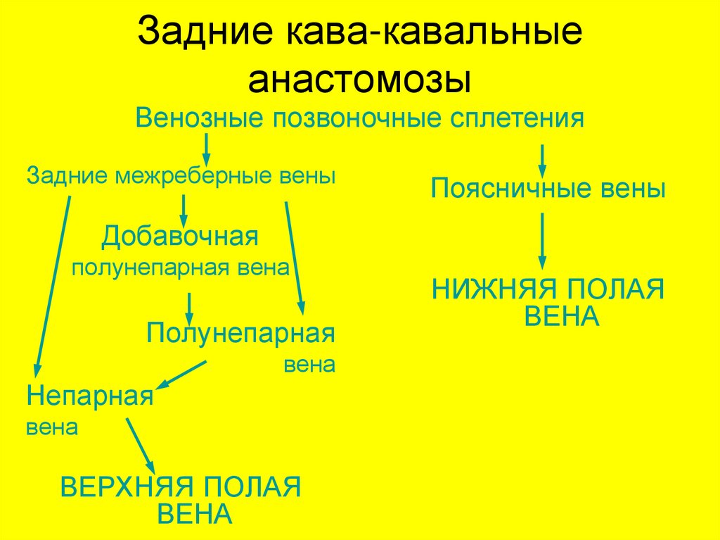 Порто кавальные и кава кавальные анастомозы