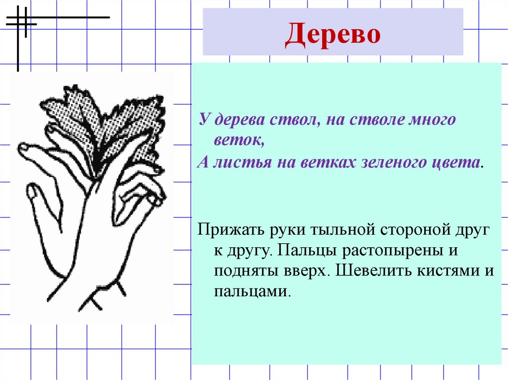 Физминутка деревце. Пальчиковая гимнастика деревья. Пальчиковое упражнение деревья. Пальчиковая гимнастика на тему цветы и деревья. Пальчиковая гимнастика дерево для детей.