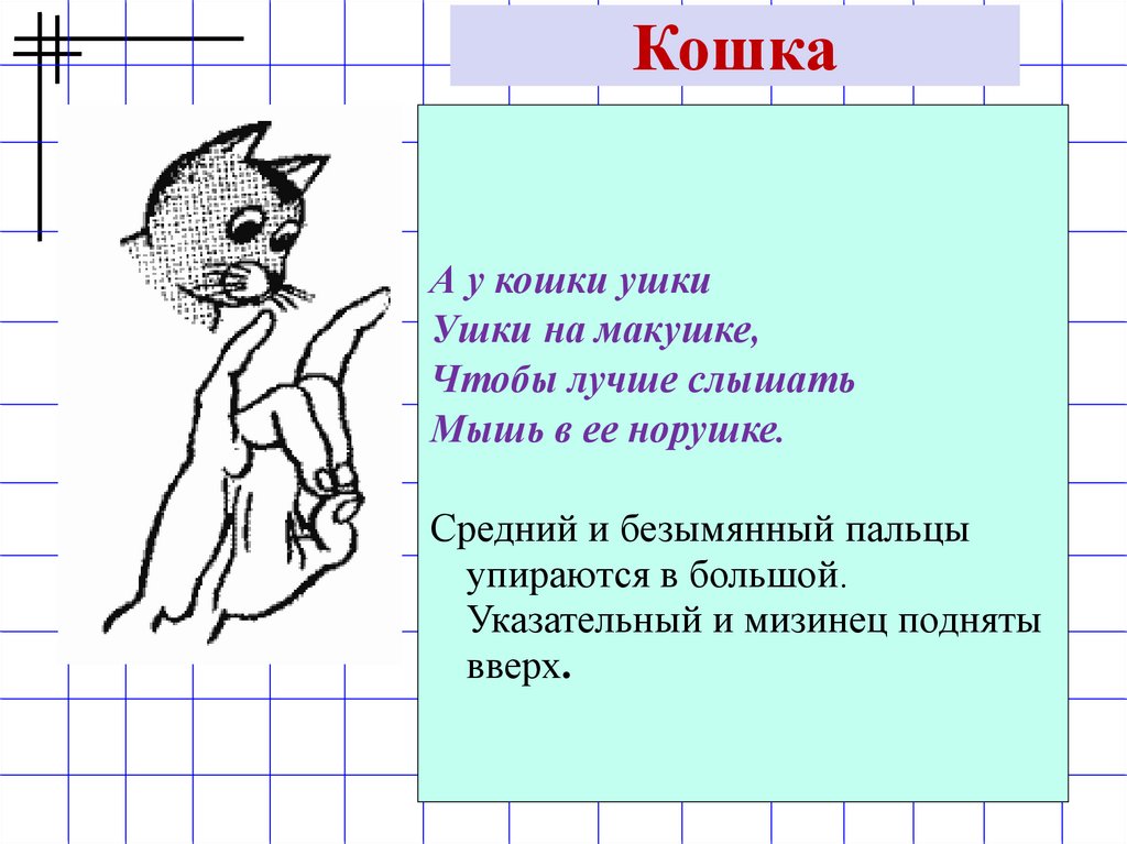 У наших ушки на макушке стиль речи. Пальчиковая кошка. Пальчиковая гимнастика расскажу про кошку. Пальчиковая гимнастика самовар. Пальчиковая гимнастика мордочка кота.