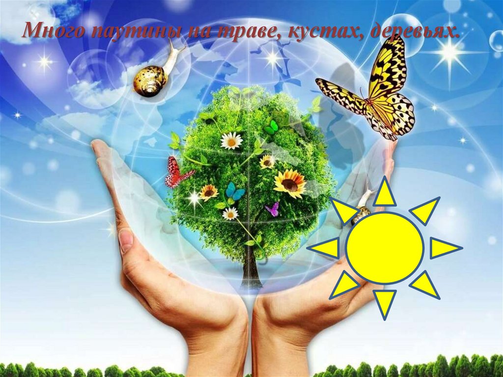 Проект охрана окружающей среды в россии