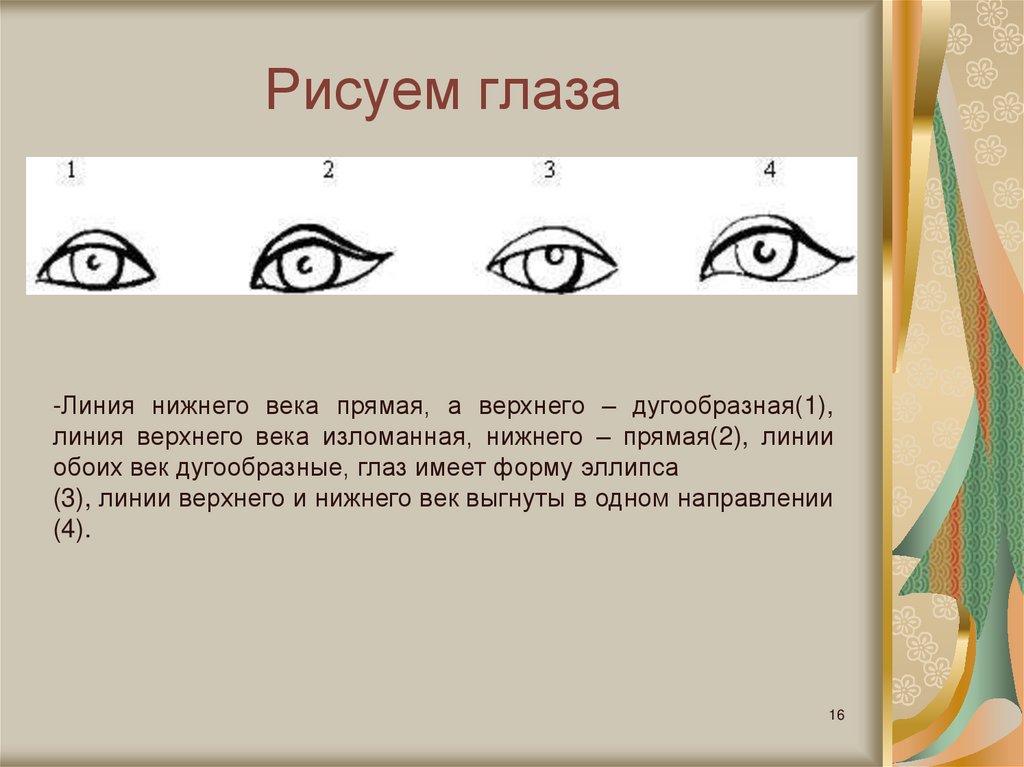 Нижняя линия. Линия века. Прямая линия Нижнего века. Глаз изо 6 класс.