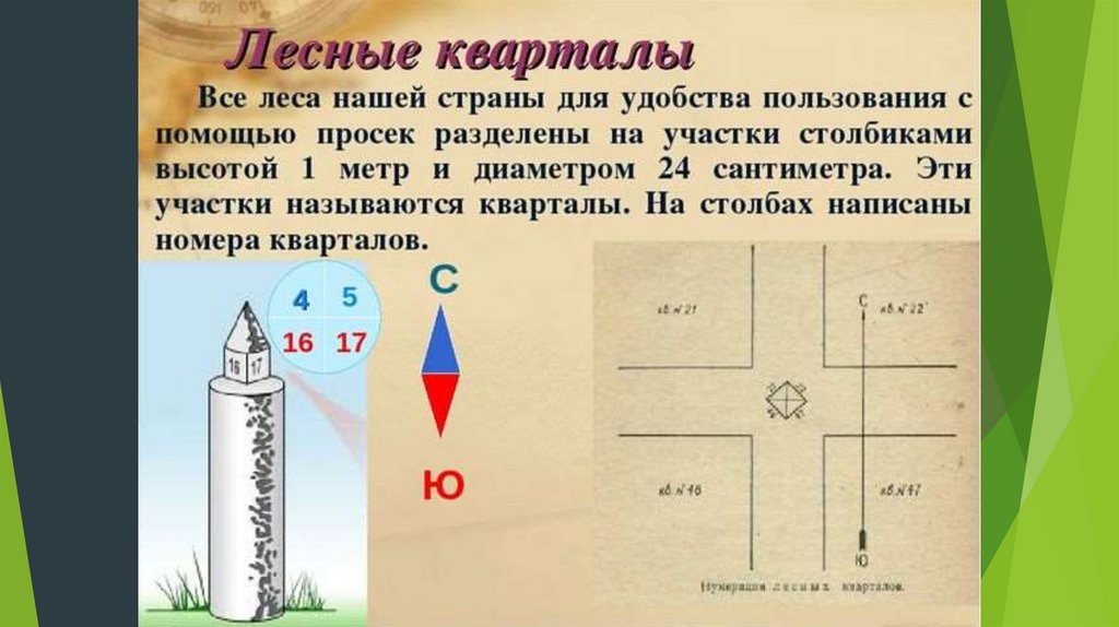 Ориентирование на местности 5 класс география презентация