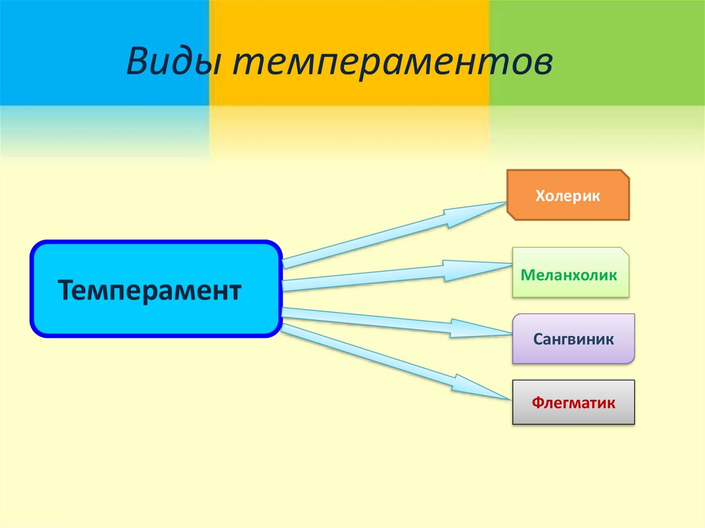 Виды темперамента презентация 8 класс