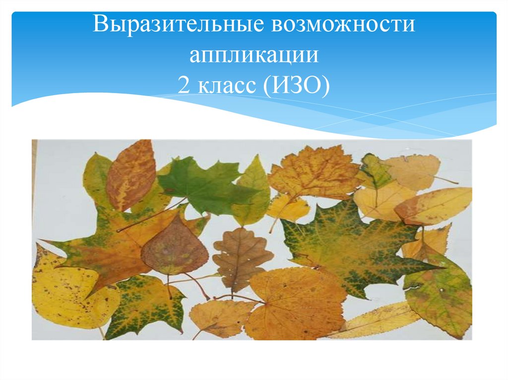 Коврик осенний листопад 2 класс. Выразительные возможности аппликации. Ковер из листьев аппликация. Коврик аппликация осенний листопад. Ковер из листьев 2 класс.