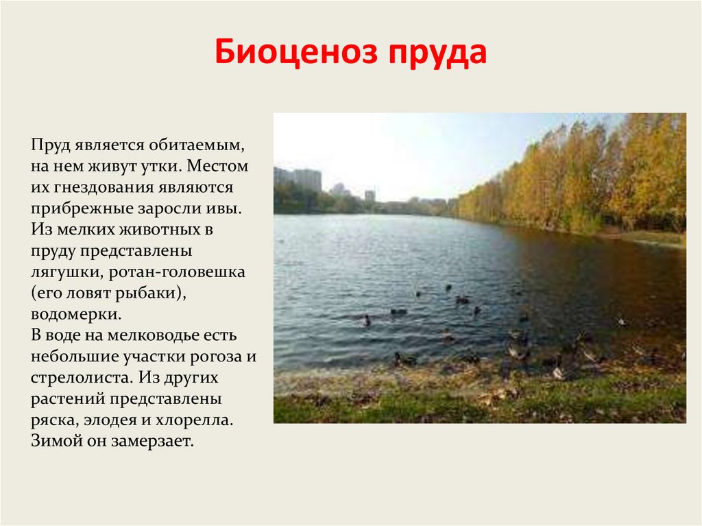 Краткое описание водоема