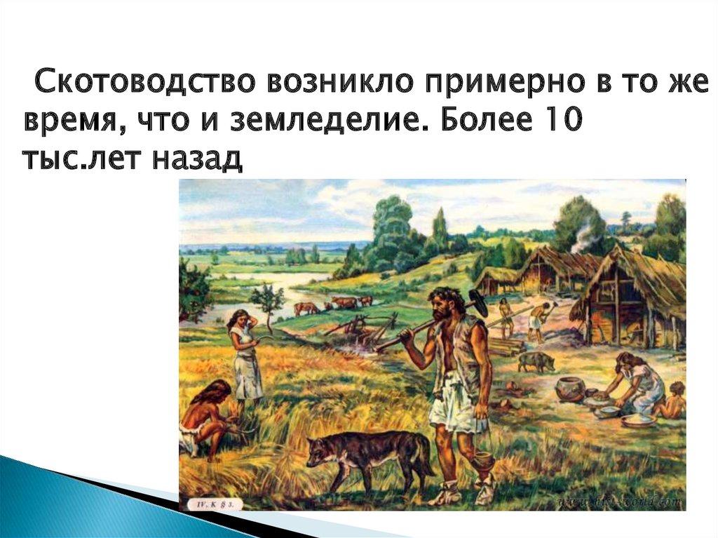 Неолитическая революция первые скотоводы земледельцы ремесленники