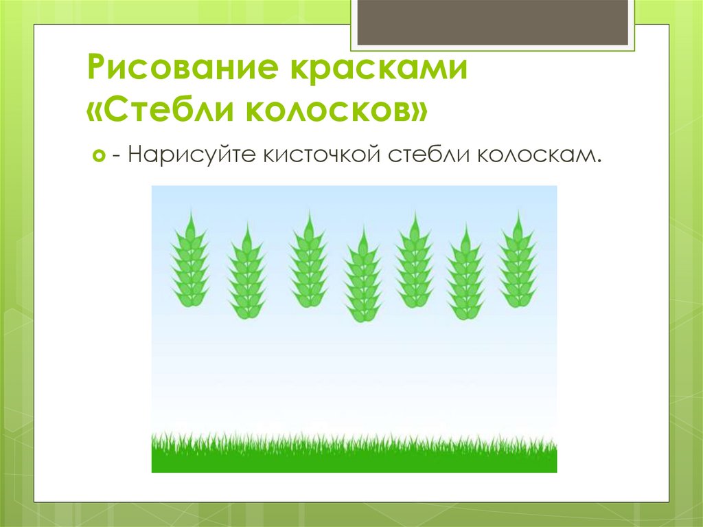 Рисование красками «Стебли колосков»